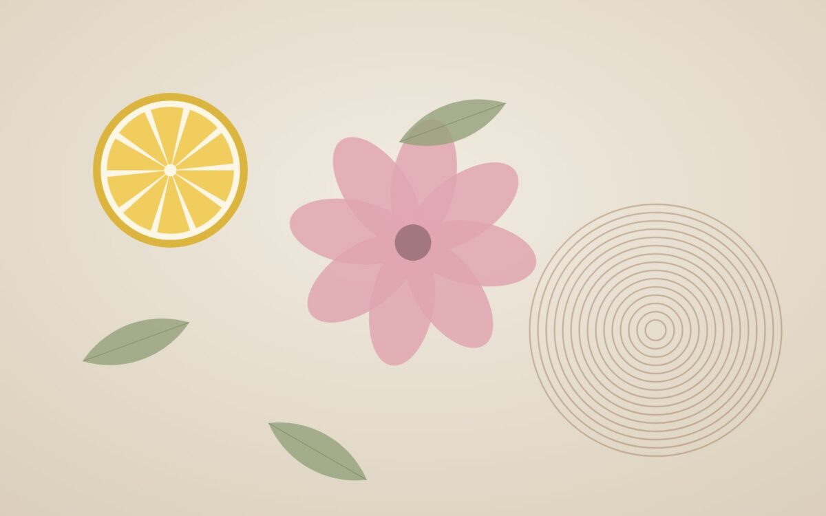 Reading a perfume: top, heart and base